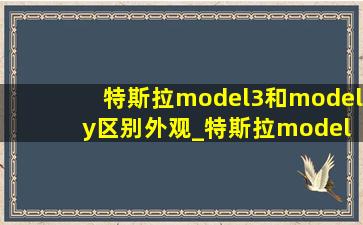 特斯拉model3和model y区别外观_特斯拉model y和model3怎么选